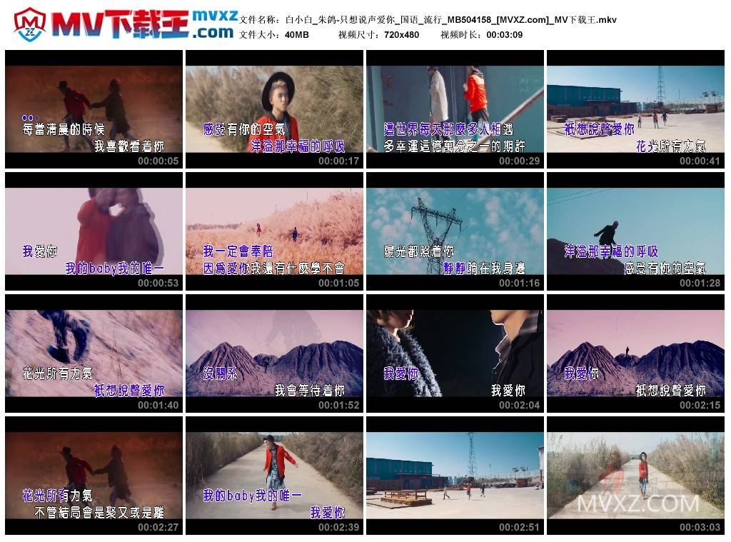 白小白_朱鸽-只想说声爱你_国语_流行_MB504158